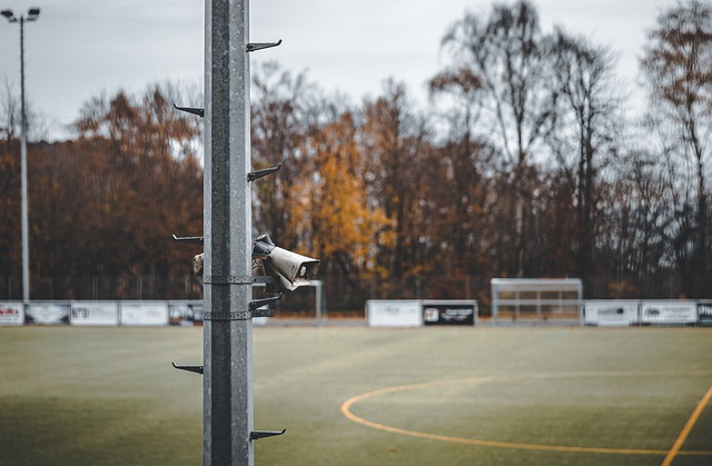 作为青年组 作为青年组