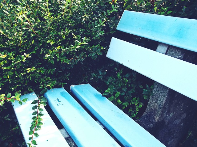 更能在网络 更能在网络