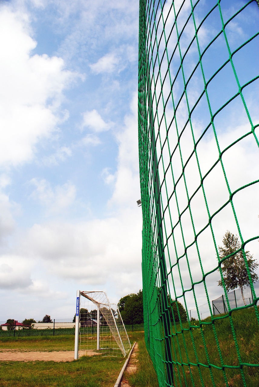 创造无限可 创造无限可