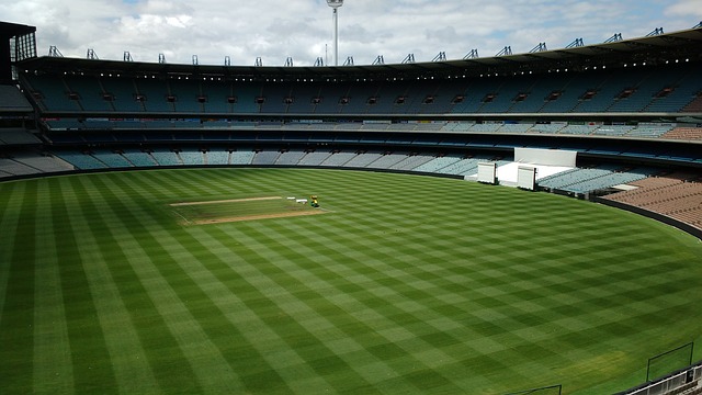 中的强劲表 中的强劲表