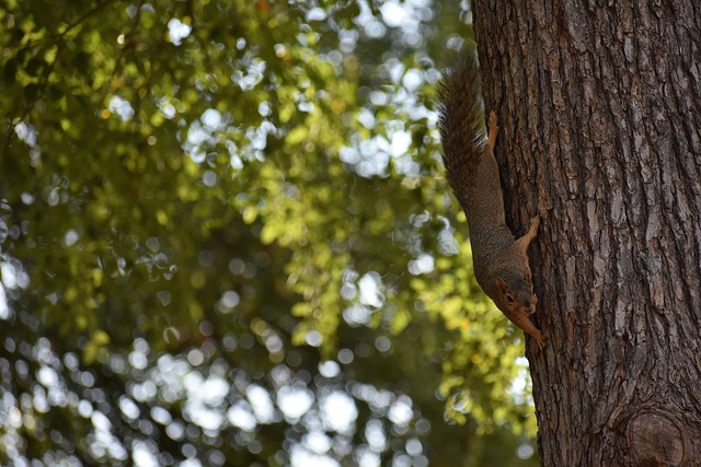 为真实可信 为真实可信