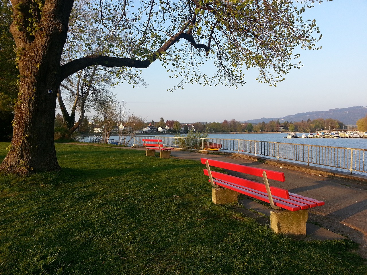 中取得了决 中取得了决