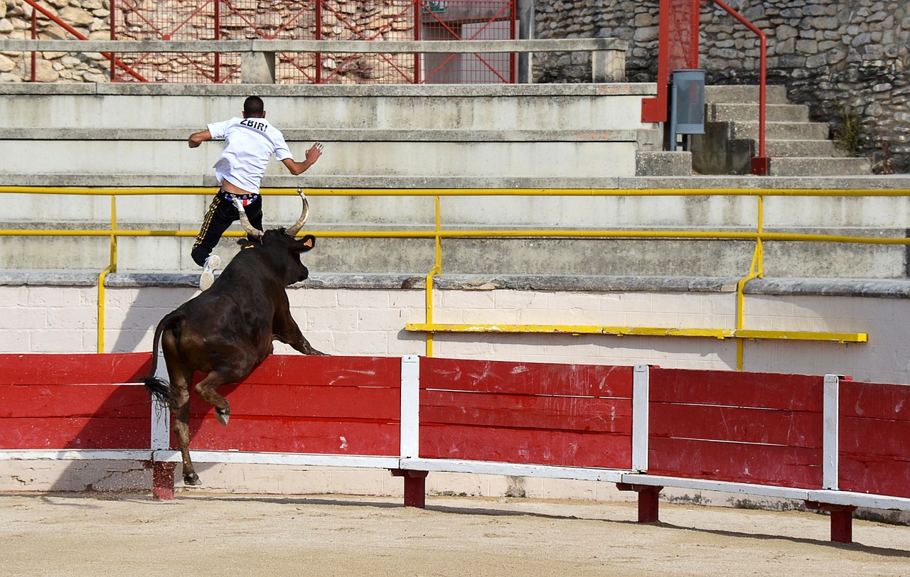 運行